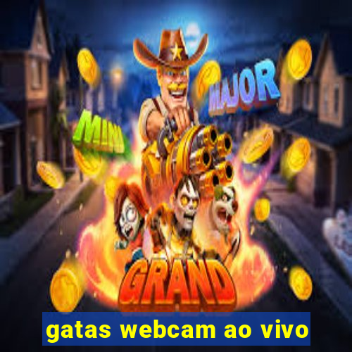gatas webcam ao vivo
