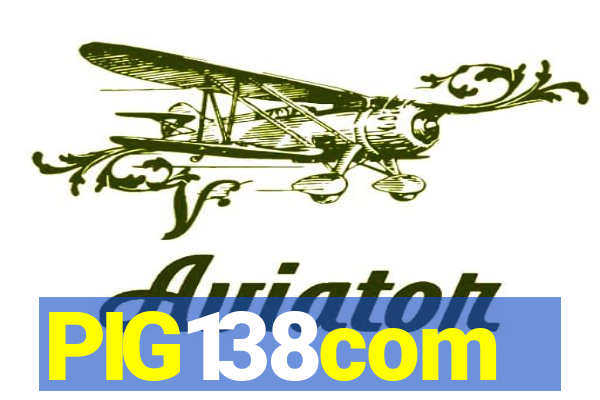 PIG138com