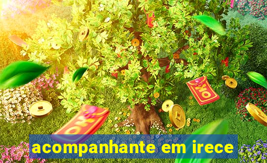 acompanhante em irece