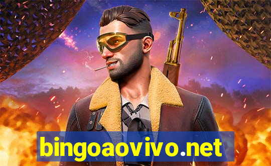 bingoaovivo.net