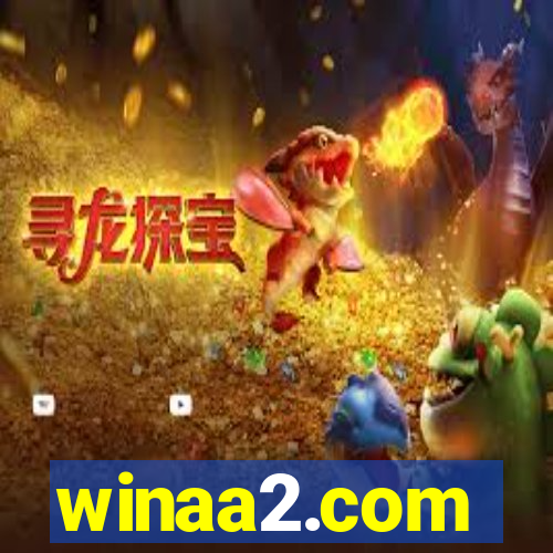 winaa2.com