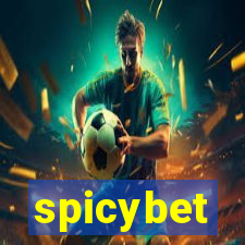 spicybet-4.com