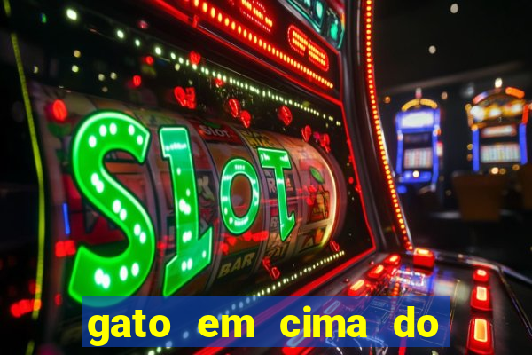 gato em cima do telhado significado espiritual