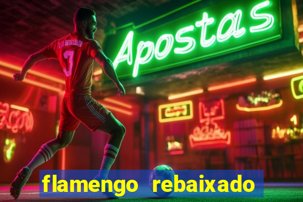 flamengo rebaixado em 1995