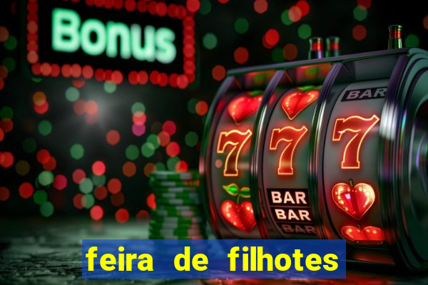 feira de filhotes porto alegre