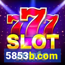 5853b.com