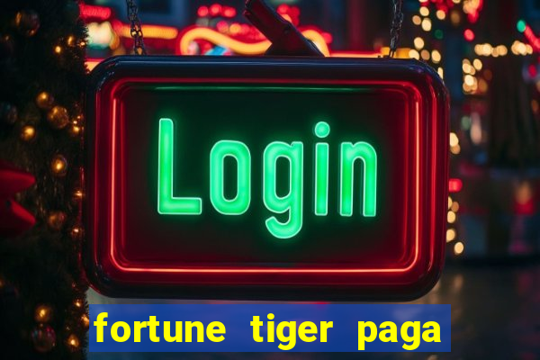 fortune tiger paga de madrugada