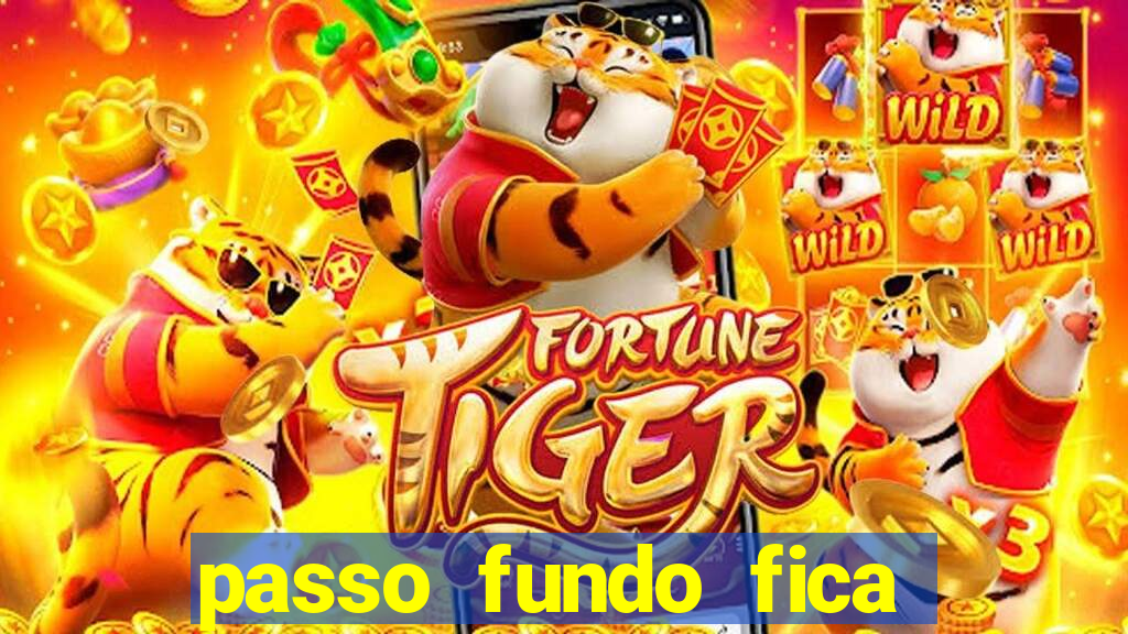 passo fundo fica perto de qual cidade